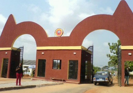 auchi poly gate