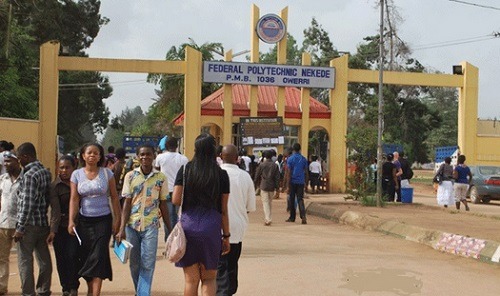 nekede gate