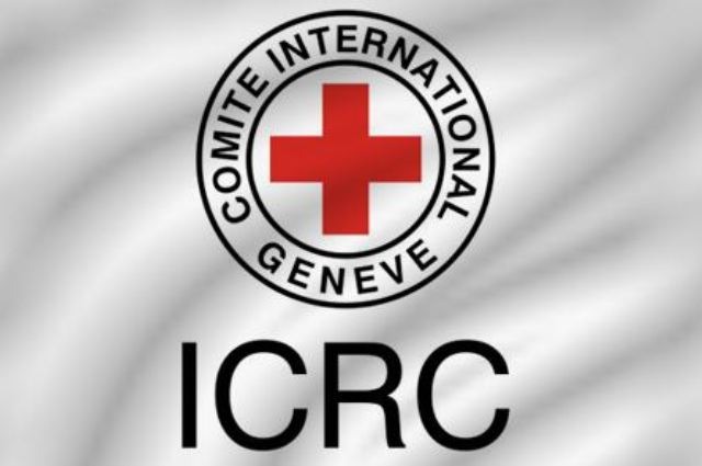 international red cross job