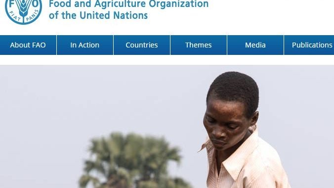 United Nations FAO Fellowship Programme 2018 On www.fao.org