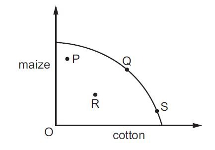 economics questions 