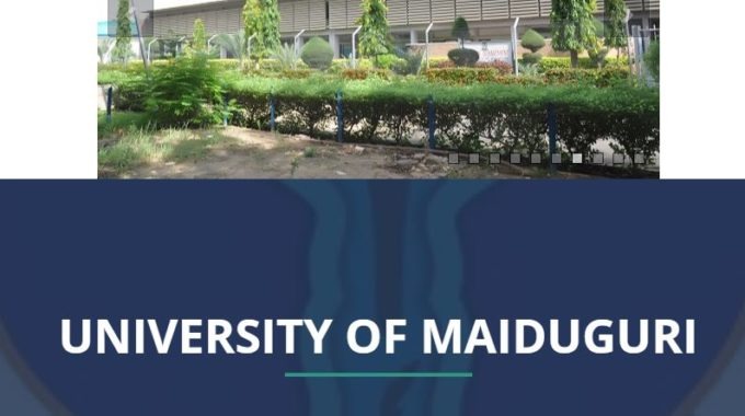 UNIMAID Admission List 2018/ 19 is Out – Check 1st & 2nd Batch